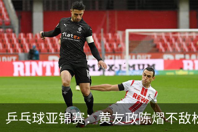 乒乓球亚锦赛：黄友政/陈熠不敌松岛辉空/张本美和，遗憾摘银