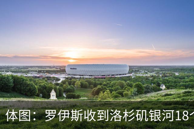 体图：罗伊斯收到洛杉矶银河18个月续约报价