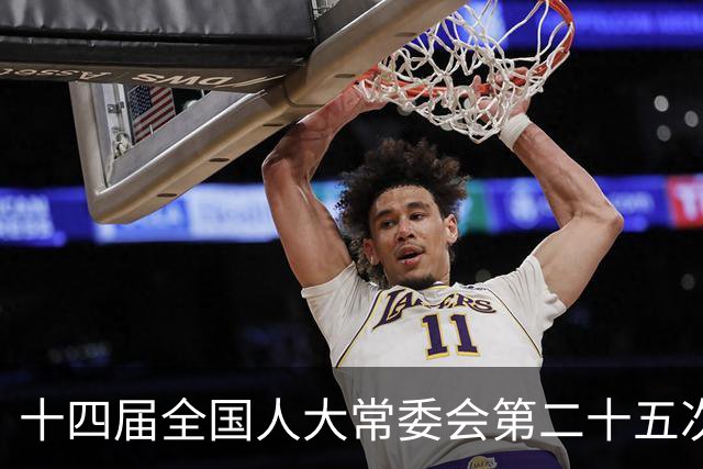 十四届全国人大常委会第二十五次会议11月2日至6日举行
