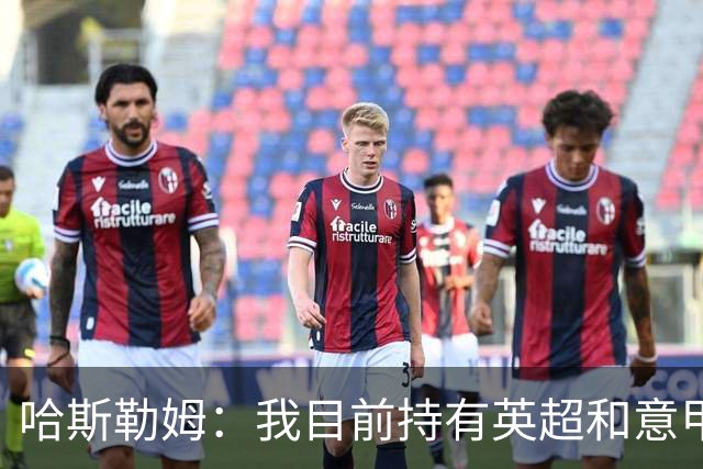 哈斯勒姆：我目前持有英超和意甲两家足球俱乐部的股份