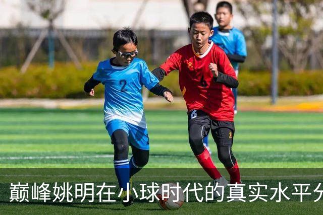 巅峰姚明在小球时代的真实水平分析