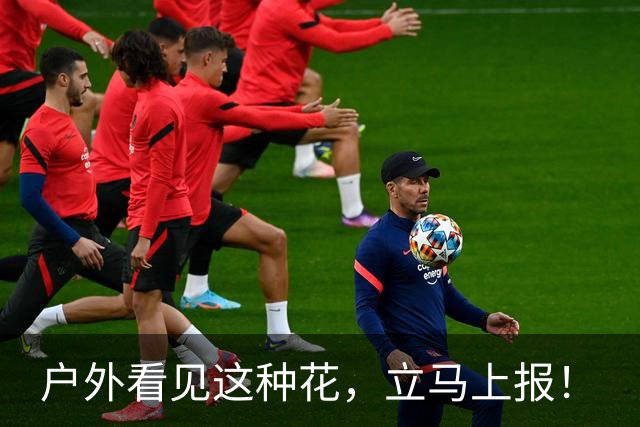 户外看见这种花，立马上报！