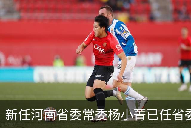 新任河南省委常委杨小菁已任省委宣传部部长