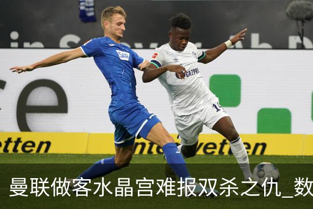 曼联做客水晶宫难报双杀之仇 数据示1-1战平