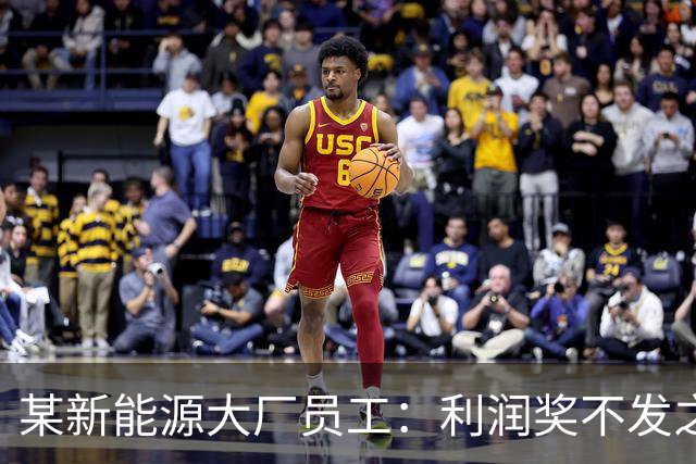 某新能源大厂员工：利润奖不发之后，确诊抑郁了