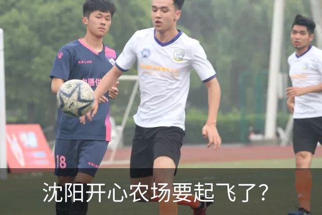 沈阳开心农场要起飞了？
