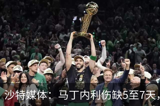 沙特媒体：马丁内利伤缺5至7天，预计11月7日复出