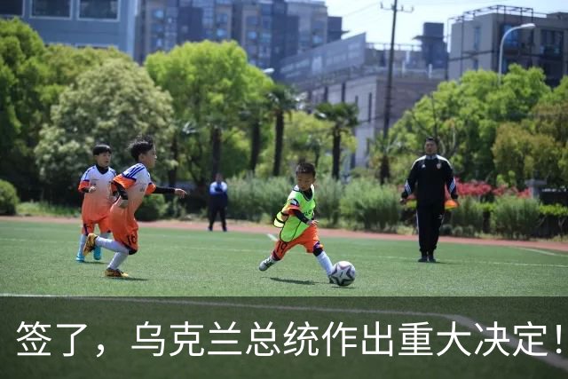签了，乌克兰总统作出重大决定！