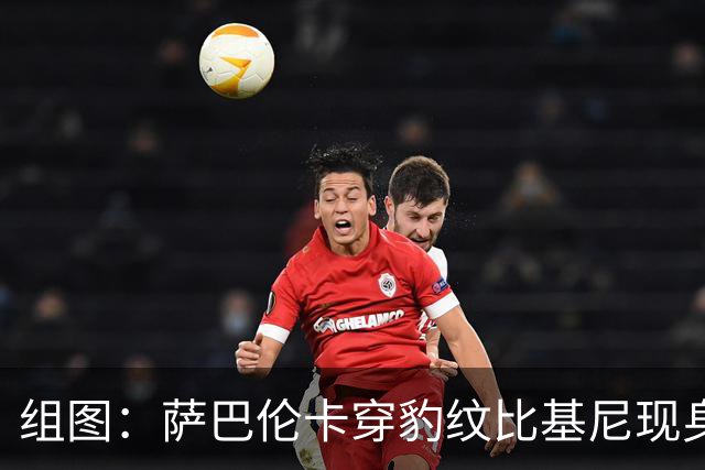 组图：萨巴伦卡穿豹纹比基尼现身海边 展示曼妙曲线