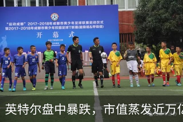 英特尔盘中暴跌，市值蒸发近万亿人民币
