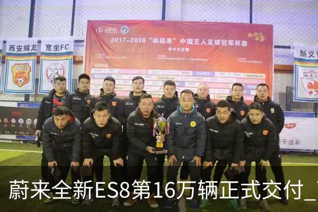 蔚来全新ES8第16万辆正式交付 两个细分市场均夺冠