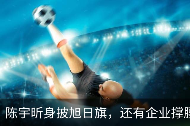 陈宇昕身披旭日旗，还有企业撑腰，汤家凤怒喊露头就打