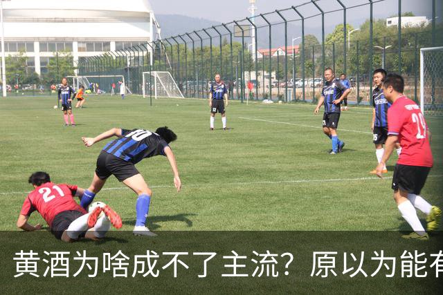 黄酒为啥成不了主流？原以为能有共鸣，谁料评论一边倒