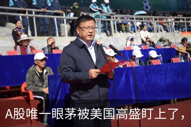 A股唯一眼茅被美国高盛盯上了，业绩暴增12962%，周五量能突然放大